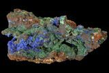Sparkling Azurite and Malachite Crystal Cluster - Morocco #127520-2
